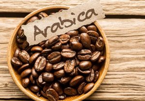قهوه-عربیکا
